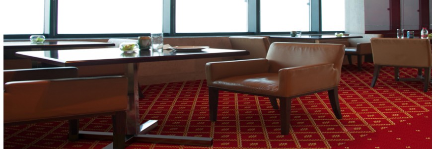 Cambini * 240 mp | Arc Edition | Suite Symphony